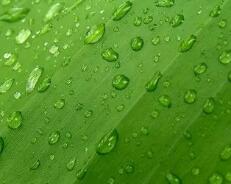 汽车油耗排名(汽车油耗排名)