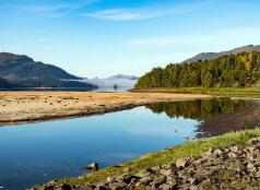 今年汽车厂商行情如何?电动汽车行情,哪里能提供呢