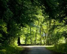 金杯霸道、长城赛影、吉奥帅舰这三款SUV中哪一款更皮实抗遭,还耗油少?金杯霸道009用的是什么发动机